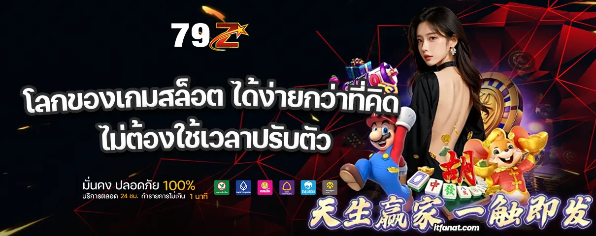 เว็บ 79Z